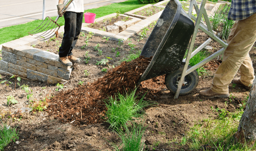 White Sands Landscaping